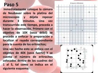 Paso 5
.Inmediatamente coloque la cámara
de Neubauer sobre la platina del
microscopio y déjela reposar
durante 3 minutos. Una vez
transcurrido este tiempo, proceda a
hacer la observación. Primero con el
objetivo de 10X (seco débil) se
procede a enfocar la preparación y
localizar el rayado correspondiente
para la cuenta de los eritrocitos;
Una vez hecho esto se enfoca con el
objetivo de 40X (seco fuerte) Y se
cuenta el número de eritrocitos
colocados dentro de los cuadros del
1 al 5, tal como se indica en el
siguiente esquema:
 