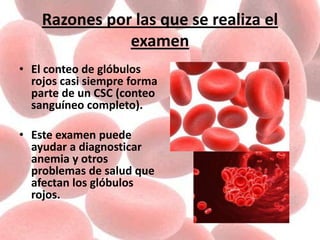 Razones por las que se realiza el
examen
• El conteo de glóbulos
rojos casi siempre forma
parte de un CSC (conteo
sanguíneo completo).
• Este examen puede
ayudar a diagnosticar
anemia y otros
problemas de salud que
afectan los glóbulos
rojos.
 