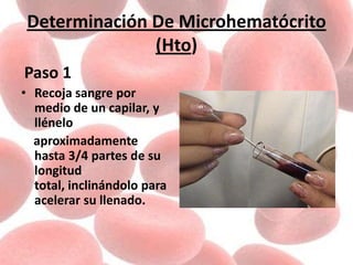 Determinación De Microhematócrito
(Hto)
Paso 1
• Recoja sangre por
medio de un capilar, y
llénelo
aproximadamente
hasta 3/4 partes de su
longitud
total, inclinándolo para
acelerar su llenado.
 