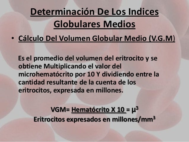 Sangre laboratorio