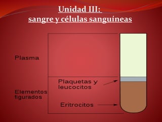 Unidad III:
sangre y células sanguíneas
 