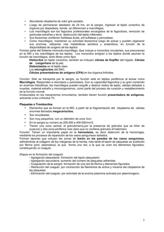 •   Abundante citoplasma de color gris azulado.
    •   Luego de permanecer alrededor de 24 hrs. en la sangre, Ingresan al tejido conectivo de
        órganos por diapedesis, donde se diferencian a macrófagos.
    • Los macrófagos son los fagocitos profesionales encargados de la fagocitosis, remoción de
        partículas extrañas y de la destrucción del tejido inflamado.
    • Sus lisosomas contienen fosfatasa ácida, aril sulfatasa y peroxidasa.
    • Como macrófagos, mantienen su actividad lisosómica luego de actuar y pueden regenerar
        sus enzimas, utilizando vías metabólicas aeróbica y anaeróbica, en función de la
        disponibilidad de oxígeno de los tejidos.
Forman parte del Sistema monocito-macrófago: Que incluye a monocitos circulantes, sus precursores
en la MO y los macrófagos de los tejidos. Los monocitos emigran a los tejidos donde asumen la
función de macrófagos, tanto libres como fijos:
        Histiocitos en tejido conectivo, también se incluyen células de Küpffer del hígado, Células
        de Langerhans de la piel,
        Osteoclastos en el tejido óseo
        Los microgliocitos del SNC,
        Células presentadoras de antígeno (CPA) en los órganos linfoides.

Función: Sólo se transporta por la sangre, su función está en tejidos periféricos al actuar como
Macrofagos. Responden a necrotaxis y quimiotaxis. Con su capacidad fagocítica y su gran contenido
en enzimas hidrolíticas, los macrófagos pueden engullir y destruir restos de tejido, células dañadas o
muertas, material extraño y microorganismos, como parte del proceso de curación y restablecimiento
de la función normal.
Involucrados en los mecanismos inmunitarios, también tienen función presentadora de antígenos,
activando a los Linfocitos Th.

Plaquetas o Trombocitos
    • Elementos que se forman en la MO, a partir de la fragmentación del citoplasma de células
         enormes llamadas megacariocitos.
    • Son enucleadas.
    • Son muy pequeños, con un diámetro de unos 3um.
    • En la sangre su número es 200.000 a 400.000/mm3.
    • Tienen una zona central, el granulomero(,por la presencia de gránulos que se tiñen de
         purpura) y otra zona periferica mas clara que no contiene gránulos el hialomero
Función: Tienen un importante papel en la hemostasia, es decir detención de la hemorragia,
mediante los procesos de reparación de los vasos sanguíneos dañados.
Forman tapones que ocluyen las zonas de lesión en las paredes de los vasos sanguíneos,
adhiriéndose al colágeno de los márgenes de la herida; más tarde el tapón de plaquetas es sustituido
por fibrina (prot. plasmatica), la que forma una red, a la que se unen los elementos figurados,
constituyendo un coagulo.

Etapas en la formación del coagulo:
       - Agregación plaquetaria: formación del tapón plaquetario
       - Agregación secundaria: aumento del número de plaquetas adheridas
       - Coagulación de la sangre: formación de una red de fibrina y elementos figurados
       - Retracción del coagulo: por contracción de filamentos de actina y miosina del citoplasma de
       las plaquetas
       - Eliminación del coagulo: por actividad de la enzima plasmina activada por plasminogeno.




                                                                                                    7
 