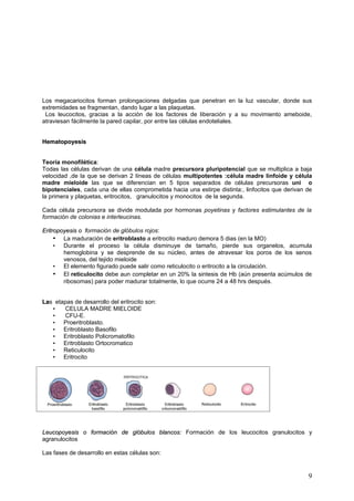 Los megacariocitos forman prolongaciones delgadas que penetran en la luz vascular, donde sus
extremidades se fragmentan, dando lugar a las plaquetas.
 Los leucocitos, gracias a la acción de los factores de liberación y a su movimiento ameboide,
atraviesan fácilmente la pared capilar, por entre las células endoteliales.


Hematopoyesis


Teoría monofilética:
Todas las células derivan de una célula madre precursora pluripotencial que se multiplica a baja
velocidad ,de la que se derivan 2 líneas de células multipotentes :célula madre linfoide y célula
madre mieloide las que se diferencian en 5 tipos separados de células precursoras uni o
bipotenciales, cada una de ellas comprometida hacia una estirpe distinta:, linfocitos que derivan de
la primera y plaquetas, eritrocitos, granulocitos y monocitos de la segunda.

Cada célula precursora se divide modulada por hormonas poyetinas y factores estimulantes de la
formación de colonias e interleucinas.

Eritropoyesis o formación de glóbulos rojos:
                f
     • La maduración de eritroblasto a eritrocito maduro demora 5 dias (en la MO)
     • Durante el proceso la célula disminuye de tamaño, pierde sus organelos, acumula
        hemoglobina y se desprende de su núcleo, antes de atravesar los poros de los senos
        venosos, del tejido mieloide
     • El elemento figurado puede salir como reticulocito o eritrocito a la circulación.
     • El reticulocito debe aun completar en un 20% la sintesis de Hb (aún presenta acúmulos de
        ribosomas) para poder madurar totalmente, lo que ocurre 24 a 48 hrs después.


Las etapas de desarrollo del eritrocito son:
La
   •   CELULA MADRE MIELOIDE
   •   CFU-E.
   • Proeritroblasto.
   • Eritroblasto Basofilo
   • Eritroblasto Policromatofilo
   • Eritroblasto Ortocromatico
   • Reticulocito
   • Eritrocito




Leucopoyesis o formación de glóbulos blancos: Formación de los leucocitos granulocitos y
                                     blancos
agranulocitos

Las fases de desarrollo en estas células son:


                                                                                                  9
 