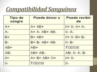 Compatibilidad Sanguínea

 
