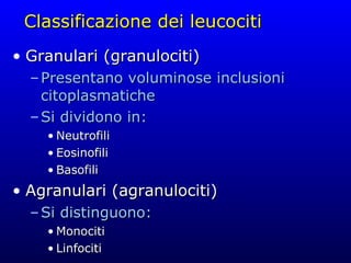 Classificazione dei leucociti Granulari (granulociti) Presentano voluminose inclusioni citoplasmatiche Si dividono in: Neutrofili Eosinofili Basofili Agranulari (agranulociti) Si distinguono: Monociti Linfociti 