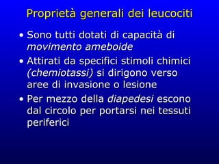 Proprietà generali dei leucociti Sono tutti dotati di capacità di  movimento ameboide Attirati da specifici stimoli chimici  (chemiotassi)  si dirigono verso aree di invasione o lesione Per mezzo della  diapedesi  escono dal circolo per portarsi nei tessuti periferici 