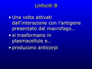 Linfociti B Una volta attivati dall’interazione con l’antigene presentato dal macrofago… si trasformano in plasmacellule e… producono anticorpi 