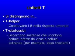 Linfociti T Si distinguono in… T-helper Coadiuvano i B nella risposta umorale T-citotossici Secernono sostanze che uccidono cellule infette da virus o cellule estranee (per esempio, dopo trapianti) 