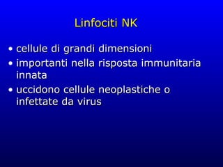 Linfociti  NK cellule di grandi dimensioni importanti nella risposta immunitaria innata uccidono cellule neoplastiche o infettate da virus 
