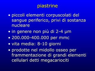 piastrine piccoli elementi corpuscolati del sangue periferico, privi di sostanza nucleare in genere non più di 2-4 µm 200.000-400.000 per mmc vita media: 8-10 giorni prodotte nel midollo osseo per frammentazione di grandi elementi cellulari detti megacariociti 