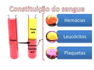Plasma60%SangueElementosFigurados40%Constituição do sangue