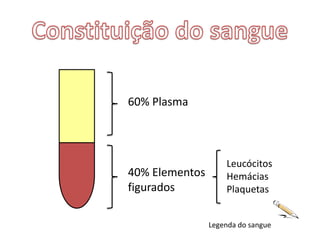 Constituição do sangue60% PlasmaLeucócitosHemáciasPlaquetas40% Elementos figuradosLegenda do sangue