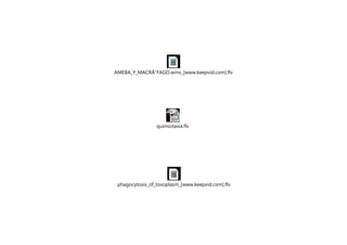 AMEBA_Y_MACRÃ“FAGO.wmv_[www.keepvid.com].flv




                 quimiotaxia.flv




 phagocytosis_of_toxoplasm_[www.keepvid.com].flv
 