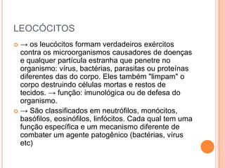 LEOCÓCITOS-> os leucócitos formam verdadeiros exércitos contra os microorganismos causadores de doenças e qualquer partícula estranha que penetre no organismo: vírus, bactérias, parasitas ou proteínas diferentes das do corpo. Eles também "limpam" o corpo destruindo células mortas e restos de tecidos. -> função: imunológica ou de defesa do organismo.-> São classificados em neutrófilos, monócitos, basófilos, eosinófilos, linfócitos. Cada qual tem uma função específica e um mecanismo diferente de combater um agente patogênico (bactérias, vírus etc)