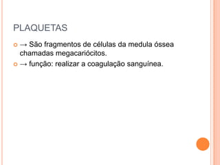 PLAQUETAS-> São fragmentos de células da medula óssea chamadas megacariócitos.-> função: realizar a coagulação sanguínea.