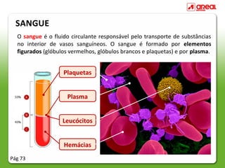 SANGUE
  O sangue é o fluido circulante responsável pelo transporte de substâncias
  no interior de vasos sanguíneos. O sangue é formado por elementos
  figurados (glóbulos vermelhos, glóbulos brancos e plaquetas) e por plasma.


                   Plaquetas


                     Plasma


                   Leucócitos


                   Hemácias
Pág 73
 