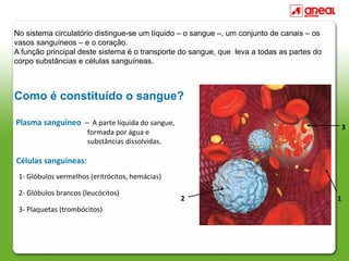 No sistema circulatório distingue-se um líquido – o sangue –, um conjunto de canais – os
vasos sanguíneos – e o coração.
A função principal deste sistema é o transporte do sangue, que leva a todas as partes do
corpo substâncias e células sanguíneas.



Como é constituído o sangue?

Plasma sanguíneo – A parte líquida do sangue,
                                                                                               3
                      formada por água e
                      substâncias dissolvidas.

Células sanguíneas:
 1- Glóbulos vermelhos (eritrócitos, hemácias)

 2- Glóbulos brancos (leucócitos)
                                                 2                                         1
 3- Plaquetas (trombócitos)
 