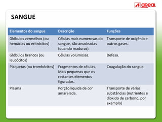 SANGUE
Elementos do sangue        Descrição                   Funções
Glóbulos vermelhos (ou     Células mais numerosas do   Transporte de oxigénio e
hemácias ou eritrócitos)   sangue, são anucleadas      outros gases.
                           (quando maduras).
Glóbulos brancos (ou       Células volumosas.          Defesa.
leucócitos)
Plaquetas (ou trombócitos) Fragmentos de células.      Coagulação do sangue.
                           Mais pequenas que os
                           restantes elementos
                           figurados.
Plasma                     Porção líquida de cor       Transporte de várias
                           amarelada.                  substâncias (nutrientes e
                                                       dióxido de carbono, por
                                                       exemplo)
 