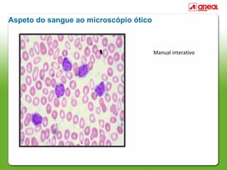 Aspeto do sangue ao microscópio ótico



                                        Manual interativo
 