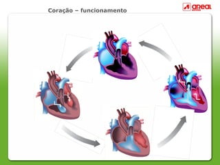 Coração – funcionamento
 