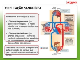 CIRCULAÇÃO SANGUÍNEA

No Homem a circulação é dupla:

• Circulação pulmonar (ou
  pequena circulação) – é neste
  circuito que o sangue é oxigenado
  nos pulmões;

• Circulação sistémica (ou
  grande circulação) – é através
  deste circuito que todas as células
  do corpo recebem o oxigénio
  transportado pelo sangue.

O sistema circulatório é responsável
pela circulação do sangue que
percorre todos os outros sistemas do
corpo.
 