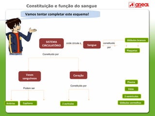Constituição e função do sangue

             Vamos tentar completar este esquema!




                                                                                                Glóbulos brancos
                           SISTEMA           onde circula o                 constituído
                        CIRCULATÓRIO                               Sangue
                                                                               por
                                                                                               Plaquetas
                        Constituído por




             Vasos                                  Coração
           sanguíneos
                                                                                                Plasma
                                                 Constituído por
           Podem ser                                                                            Veias

                                                                                             2 ventrículos

Artérias   Capilares                      2 aurículas                                     Glóbulos vermelhos
 