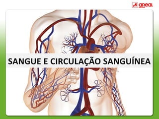 SANGUE E CIRCULAÇÃO SANGUÍNEA
 