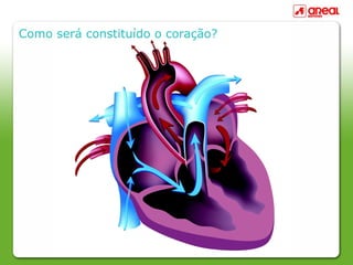 Como será constituído o coração?
 
