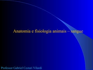 Anatomia e fisiologia animais – sangue
Professor Gabriel Cestari Vilardi
 