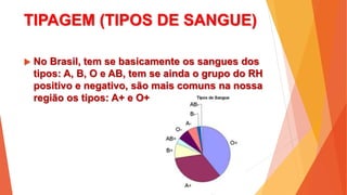 TIPAGEM (TIPOS DE SANGUE)
 No Brasil, tem se basicamente os sangues dos
tipos: A, B, O e AB, tem se ainda o grupo do RH
positivo e negativo, são mais comuns na nossa
região os tipos: A+ e O+
 