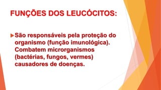 FUNÇÕES DOS LEUCÓCITOS:
São responsáveis pela proteção do
organismo (função imunológica).
Combatem microrganismos
(bactérias, fungos, vermes)
causadores de doenças.
 