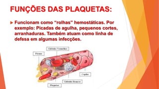 FUNÇÕES DAS PLAQUETAS:
 Funcionam como “rolhas” hemostáticas. Por
exemplo: Picadas de agulha, pequenos cortes,
arranhaduras. Também atuam como linha de
defesa em algumas infecções.
 