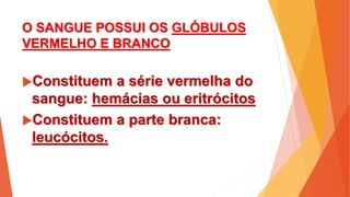 O SANGUE POSSUI OS GLÓBULOS
VERMELHO E BRANCO
Constituem a série vermelha do
sangue: hemácias ou eritrócitos
Constituem a parte branca:
leucócitos.
 