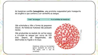 sangueeeeee suas caracteristicas - .pptx
