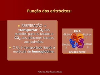 Função dos eritrócitos:


          RESPIRAÇÃO 
       transportar O2 dos                                         Hb A
     pulmões para os tecidos e                          Globina          Globina
     CO2 dos diferentes tecidos                                            
           aos pulmões.
                                                    Globina               Globina
   O O2 é transportado ligado à                                            
    molécula de hemoglobina.                                Grupos heme




                    Profa. Dra. Rita Mousinho Ribeiro
 