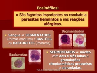 Eosinófilos:
           São fagócitos importantes no combate a
             parasitas helmintos e nas reações
                           alérgicas.

    Sangue  SEGMENTADOS
    (formas maduras) e BASTÕES
     ou BASTONETES (imaturas)

                                      SEGMENTADOS  núcleo
                                         com dois a três lobos e
                                              granulações
                                      citoplasmáticas grosseiras
                                             e alaranjadas.
                     Profa. Dra. Rita Mousinho Ribeiro
 