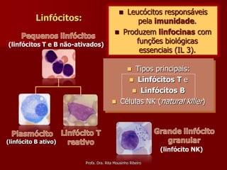    Leucócitos responsáveis
           Linfócitos:                             pela imunidade.
                                              Produzem linfocinas com
(linfócitos T e B não-ativados)
                                                   funções biológicas
                                                    essenciais (IL 3).

                                               Tipos principais:
                                                 
                                             Linfócitos T e
                                              Linfócitos B
                                         Células NK (natural killer)




(linfócito B ativo)
                                                             (linfócito NK)

                         Profa. Dra. Rita Mousinho Ribeiro
 
