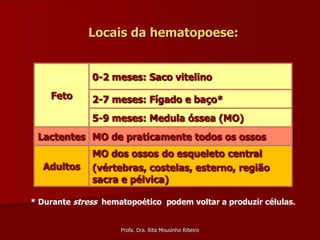 Locais da hematopoese:


              0-2 meses: Saco vitelino
    Feto      2-7 meses: Fígado e baço*
              5-9 meses: Medula óssea (MO)
 Lactentes MO de praticamente todos os ossos
              MO dos ossos do esqueleto central
  Adultos     (vértebras, costelas, esterno, região
              sacra e pélvica)

* Durante stress hematopoético podem voltar a produzir células.


                     Profa. Dra. Rita Mousinho Ribeiro
 