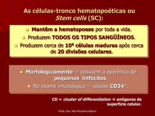 As células-tronco hematopoéticas ou
                   Stem cells (SC):
            Mantêm a hematopoese por toda a vida.
        Produzem TODOS OS TIPOS SANGÜÍNEOS.
   Produzem cerca de 106 células maduras após cerca
                de 20 divisões celulares.


       Morfologicamente  possuem a aparência de
                  pequenos linfócitos.
            No exame imunológico  células CD34+.

                    CD = cluster of differentiation  antígenos de
                                                  superfície celular.
                       Profa. Dra. Rita Mousinho Ribeiro
 