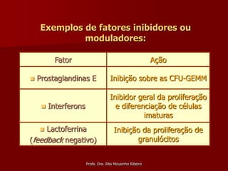 Exemplos de fatores inibidores ou
             moduladores:

          Fator                                            Ação

   Prostaglandinas E                Inibição sobre as CFU-GEMM

                                     Inibidor geral da proliferação
        Interferons                   e diferenciação de células
                                                imaturas
    Lactoferrina                      Inibição da proliferação de
(feedback negativo)                           granulócitos


                       Profa. Dra. Rita Mousinho Ribeiro
 