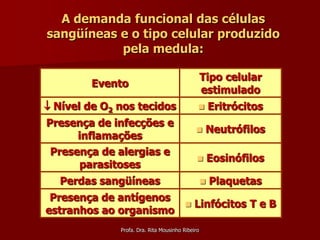 A demanda funcional das células
sangüíneas e o tipo celular produzido
           pela medula:

                                                  Tipo celular
         Evento
                                                  estimulado
 Nível de O2 nos tecidos                            Eritrócitos
Presença de infecções e
                                                  Neutrófilos
      inflamações
 Presença de alergias e
                                                     Eosinófilos
      parasitoses
   Perdas sangüíneas                                 Plaquetas
 Presença de antígenos
                        Linfócitos T e B
estranhos ao organismo
              Profa. Dra. Rita Mousinho Ribeiro
 