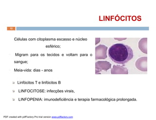 Células com citoplasma escasso e núcleo
esférico;
¨ Migram para os tecidos e voltam para o
sangue;
¨ Meia-vida: dias - anos
LINFÓCITOSLINFÓCITOS
Linfócitos T e linfócitos B
LINFOCITOSE: infecções virais,
LINFOPENIA: imunodeficiência e terapia farmacológica prolongada.
12
PDF created with pdfFactory Pro trial version www.pdffactory.com
 