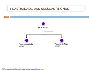 18
Precursor mielóide
comum
Precursor linfóide
comum
Célula-tronco
PLASTICIDADE DAS CÉLULAS TRONCO
PDF created with pdfFactory Pro trial version www.pdffactory.com
 