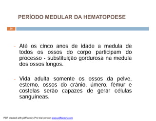 28
• Até os cinco anos de idade a medula de
todos os ossos do corpo participam do
processo - substituição gordurosa na medula
dos ossos longos.
• Vida adulta somente os ossos da pelve,
esterno, ossos do crânio, úmero, fêmur e
costelas serão capazes de gerar células
sanguíneas.
PERÍODO MEDULAR DA HEMATOPOESE
PDF created with pdfFactory Pro trial version www.pdffactory.com
 
