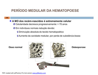 A MO dos recém-nascidos é extremamente celular
Ø Celularidade decresce progressivamente: > 70 anos
Ø Em indivíduos normais redução devido:
§ Diminuição absoluta do tecido hematopoético
§ Aumento da cavidade medular, por perda de substância óssea
Osso normal Osteoporose
30
PERÍODO MEDULAR DA HEMATOPOESE
PDF created with pdfFactory Pro trial version www.pdffactory.com
 