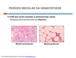 A MO dos recém-nascidos é extremamente celular
Ø Espaço adicional preenchido por adipócitos
Medula normocelular Medula gordurosa
31
PERÍODO MEDULAR DA HEMATOPOESE
PDF created with pdfFactory Pro trial version www.pdffactory.com
 