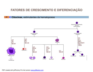 Citocinas, estimulantes da hematopoese41
FATORES DE CRESCIMENTO E DIFERENCIAÇÃO
PDF created with pdfFactory Pro trial version www.pdffactory.com
 