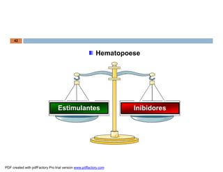 InibidoresEstimulantes
Hematopoese
42
PDF created with pdfFactory Pro trial version www.pdffactory.com
 