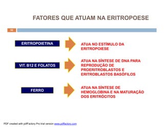 ERITROPOIETINA ATUA NO ESTÍMULO DA
ERITROPOIESE
VIT. B12 E FOLATOS
ATUA NA SÍNTESE DE DNA PARA
REPRODUÇÃO DE
PROERITROBLASTOS E
ERITROBLASTOS BASÓFILOS
FERRO
ATUA NA SÍNTESE DE
HEMOGLOBINA E NA MATURAÇÃO
DOS ERITRÓCITOS
52
FATORES QUE ATUAM NA ERITROPOESE
PDF created with pdfFactory Pro trial version www.pdffactory.com
 