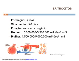 54
¨ Formação: 7 dias
¨ Vida média: 120 dias
¨ Função: transporte oxigênio
¨ Homem : 5.000.000-5.500.000 milhões/mm3
¨ Mulher: 4.500.000-5.000.000 milhões/mm3
Fonte: ciencias3c.cvg.com
ERITRÓCITOS
PDF created with pdfFactory Pro trial version www.pdffactory.com
 
